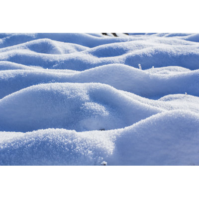 Arthel Arthel Snow - Wrapped Canvas Print
