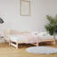 Farlough Solid Wood Daybed with Trundle-1861693585-1868504598