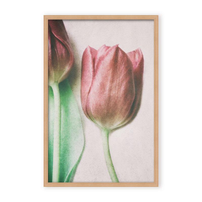 Nature Inspired The Spring Lovers by  - Picture Frame Graphic Art on Paper, 48" H x 32" W x 1.125" D, Framed Matted Print