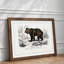 Brown Bear - Framed Print-48215782-48215783