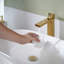 Robinet de salle de bain monocorps à poignée simple avec drain High Arc-103560311