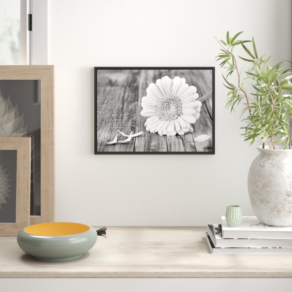 Gerahmtes Wandbild Gerbera auf Boden