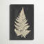 «Linen Fern I» par Vision Studio, impression sur toile-1273913902-1261290177-1293014367