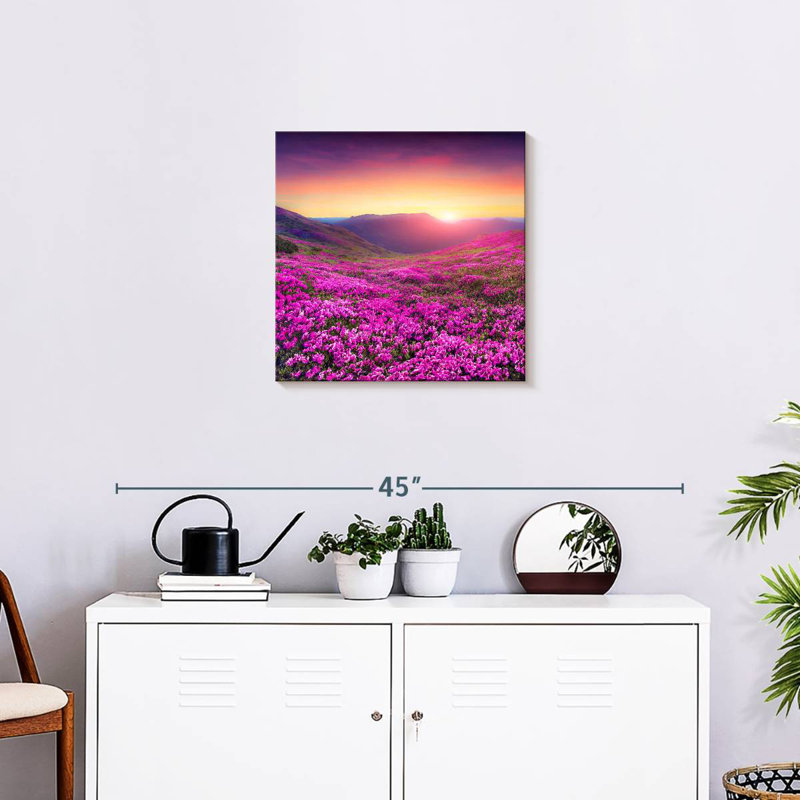 Alvord Rhododendron Flower Field