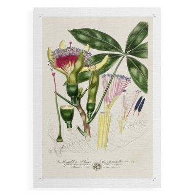 Imperial Tropical Botanical II -Canvas Print Only - NOT FRAMED