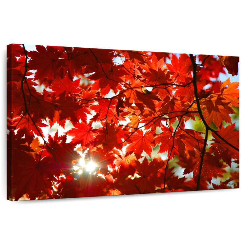 Alvord Maple Leaves, 32" H x 48" W
