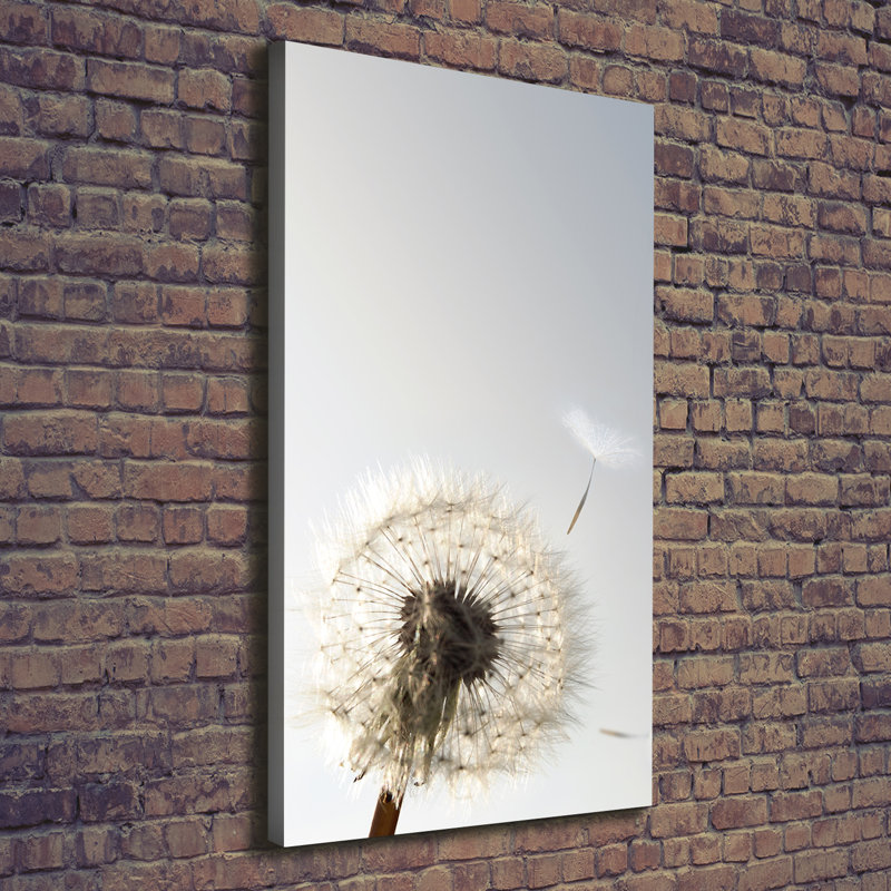 Dandelion - Wrapped Canvas Print