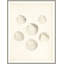 Sea Trinkets 1 Print by Studio L57 Nouvelle-1747263551