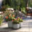 Jacolies Handmade Pot Planter-1485863109
