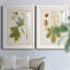 Antique Leaves VII - ensemble de 2 reproductions d'art sur papier encadré-65367038-65367039