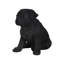 Statue de carlin chiot
