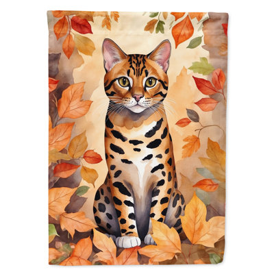 Chat en feuilles d'automne