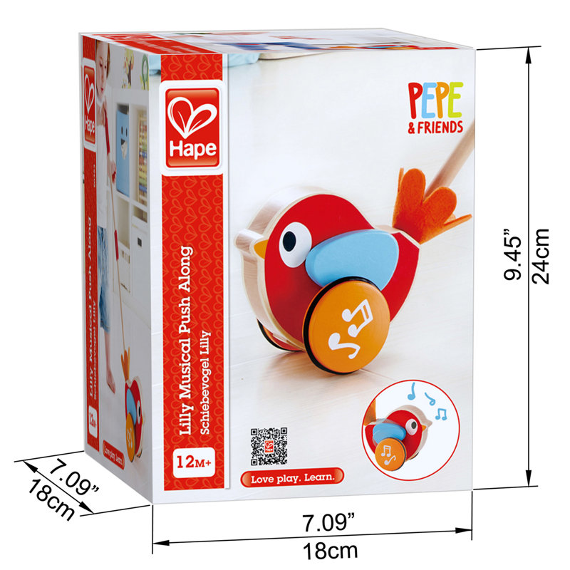 Walk A Long Bird Push Pull Toy