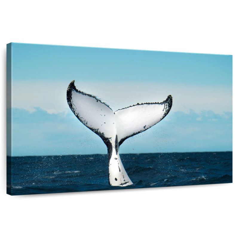 Brampt Whale Fluke, 26" H x 39" W