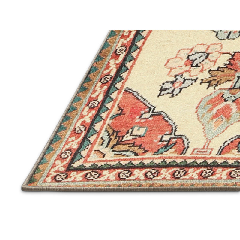 Rouge floral Rami/beige/brun Tapis décoratif, Rectangle 6 pi x 9 pi