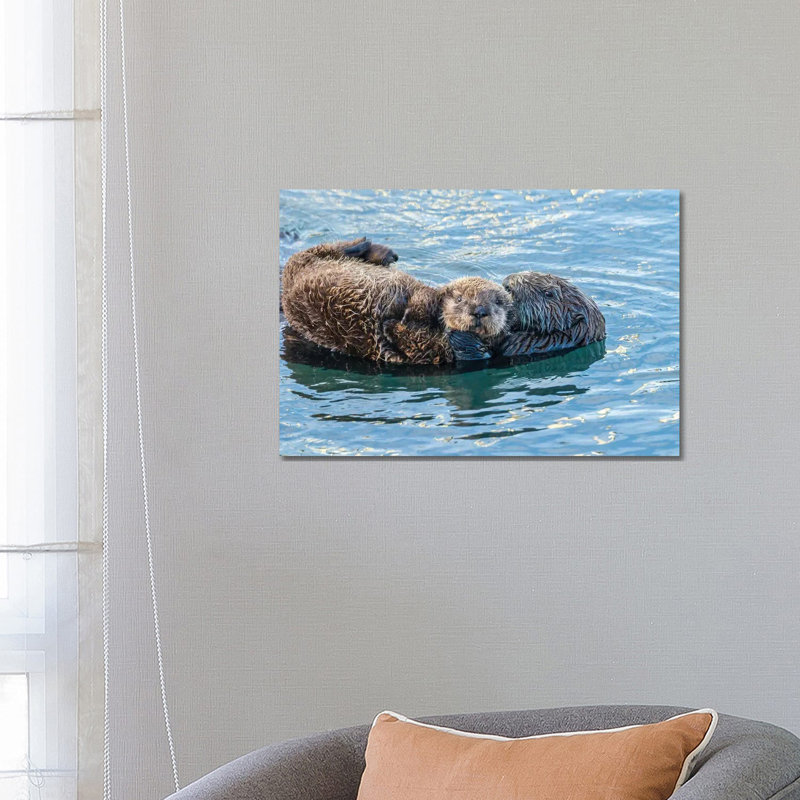 USA, California, San Luis Obispo. Sea Otter Waving. by Jaynes Gallery - Wrapped Canvas Print, 45.72cm H x 66.04cm W