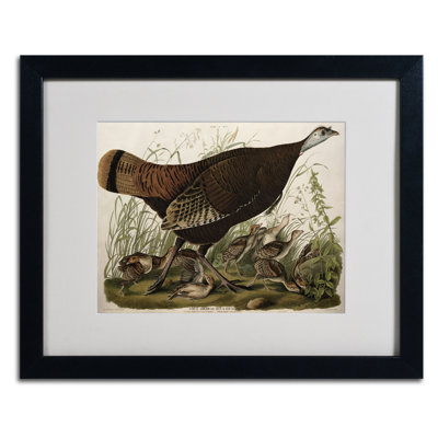 Modern & Contemporary Painting Print