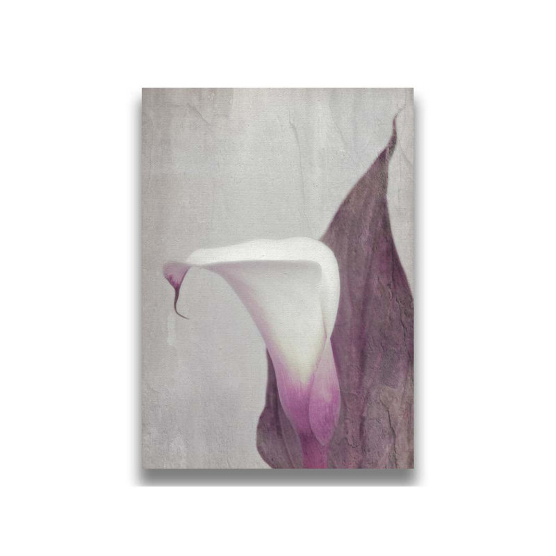 Sang Calla Lily par Hal Halli. Impression sur papier - Montée et encadrée avec de l'acrylique transparent, taille de l'image - 36 x 48