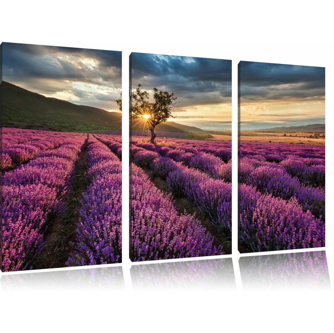 3-tlg. Leinwandbild-Set „Traumhafte Lavendel Provence mit einsamen Baum", Fotodruck