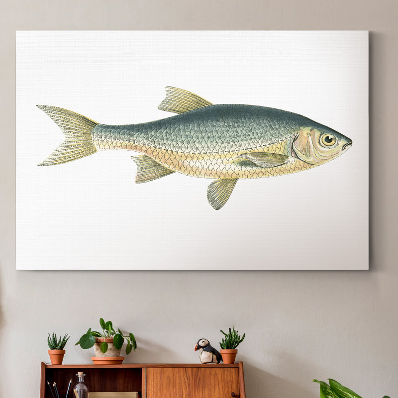 " Small Antique Fish IV ", 27" H x 18" W x 1" D