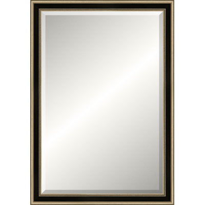 Antique Silver Old World Mirror