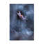 Art sur toile Fabien Bravin-1524745453