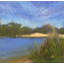 Solitude Among The Reeds Print by Dina Gardner-1305706664