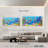 'Cartoon Underwater Animals-341661520