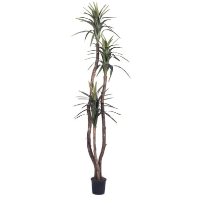 Marginata 78'' Faux Tree in Pot