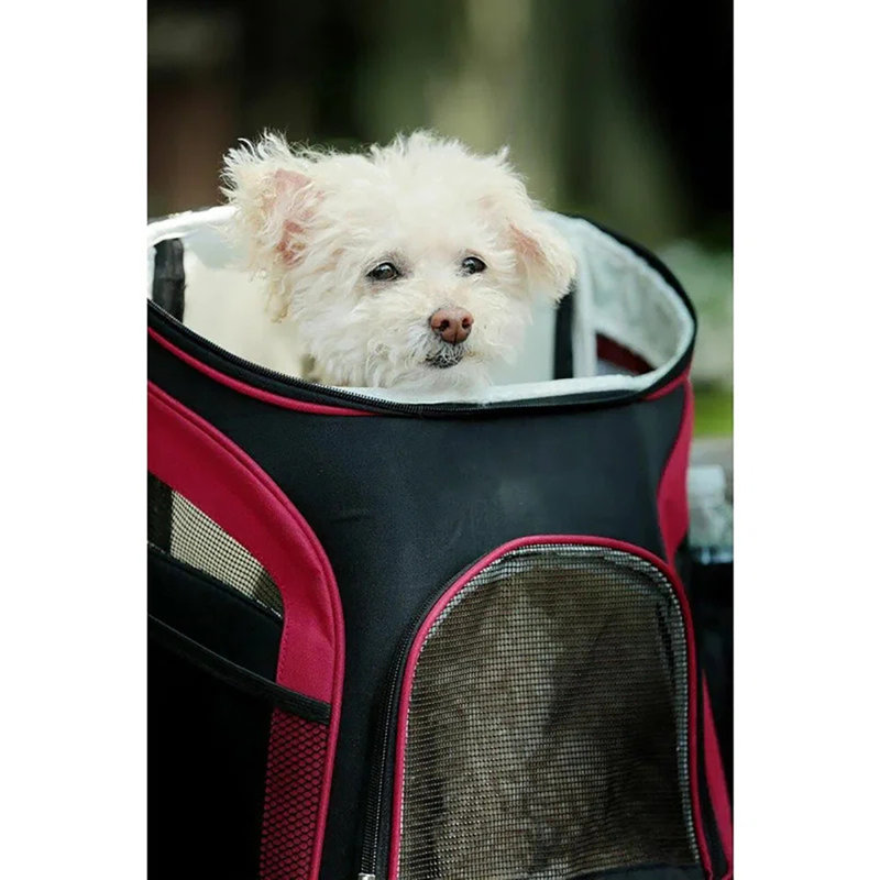 Sac de transport Tucker Murphy Pet Voyager pour chien, chat et chiot - idéal pour les randonneurs, Rouge