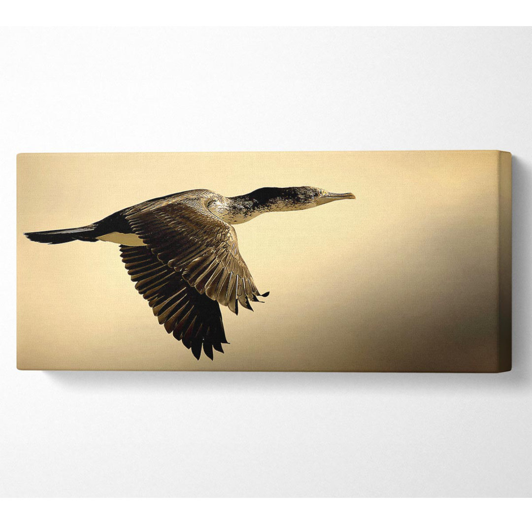 Shag Bird - Kunstdrucke auf Leinwand - Wrapped Canvas