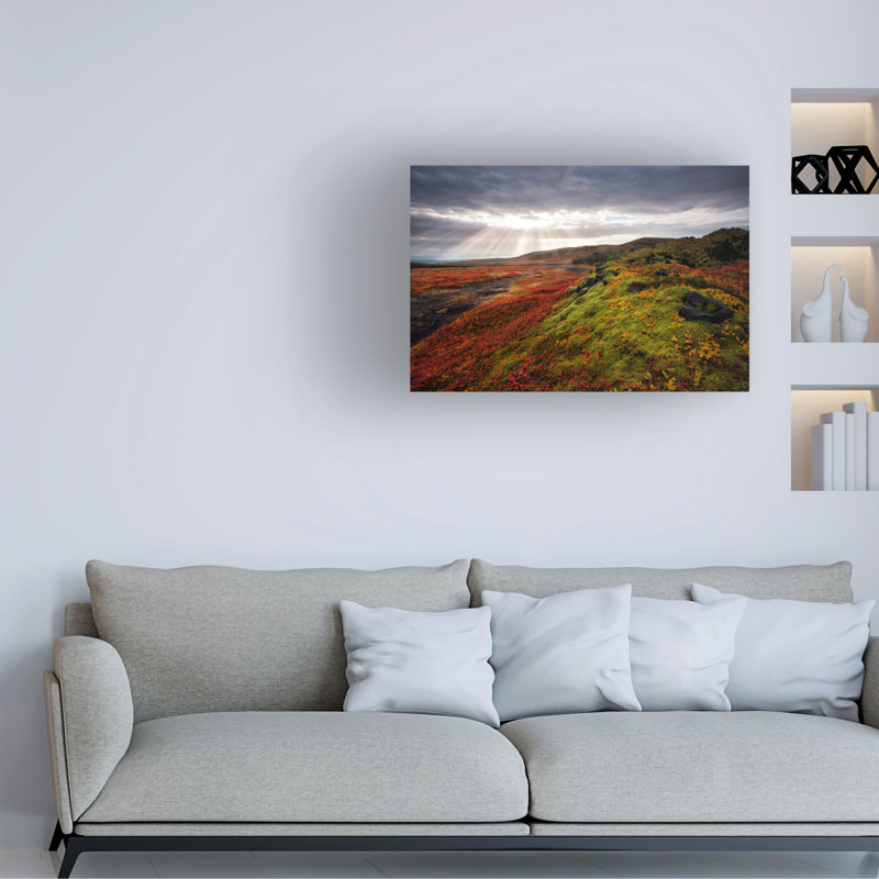 Œuvre d'art sur toile, Bololog, H 12 po x l 19 po