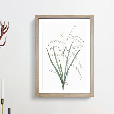 Pale Vanilla Lily Flowers by Pierre-Joseph Redoute - Framed Print