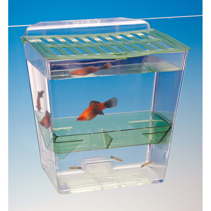  Multipurpose Enclosure