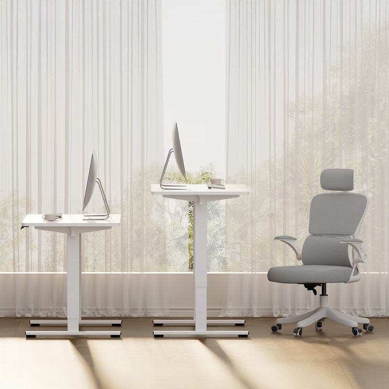 Bureau électrique debout à hauteur réglable pour tout le bureau à domicile, White/White