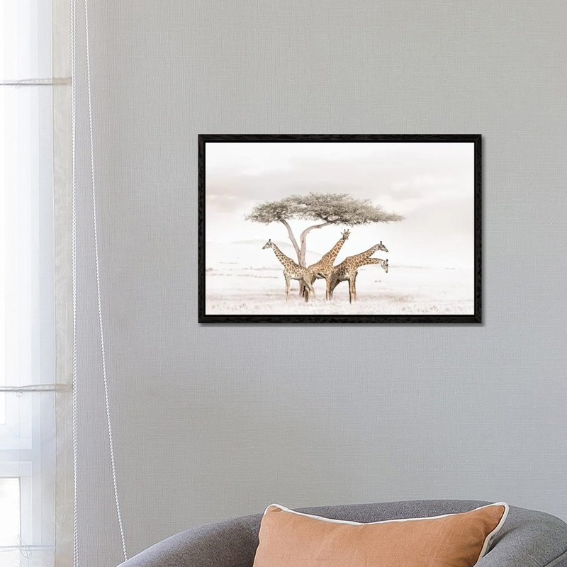 White Giraffes by Klaus Tiedge - Print on Canvas, 66.04 cm H x 45.72 cm W, Black Framed