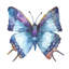 Vibrant Butterfly IV Print by Beverly Fuller-26928306-26928310