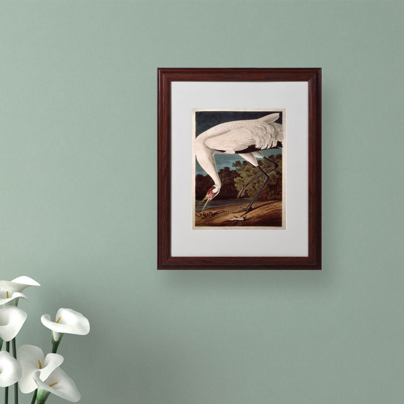 « whooping grues » par john james audubon, reproduction d’art encadrée, H 14 po x l 11 po x P 0,5 po, Brun