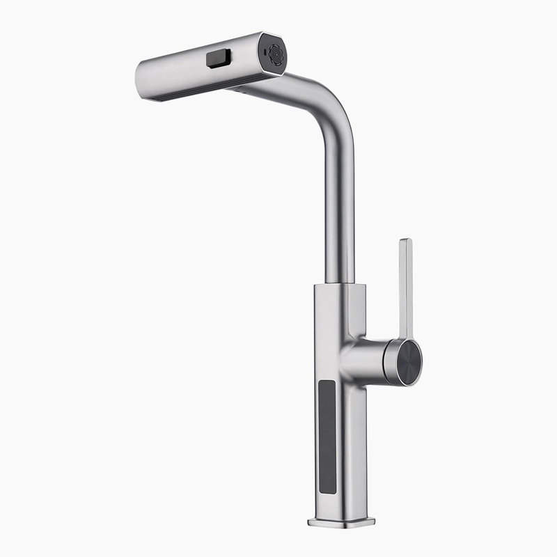 Single Handle Kitchen Faucet with Accessories, Brushed Nickel