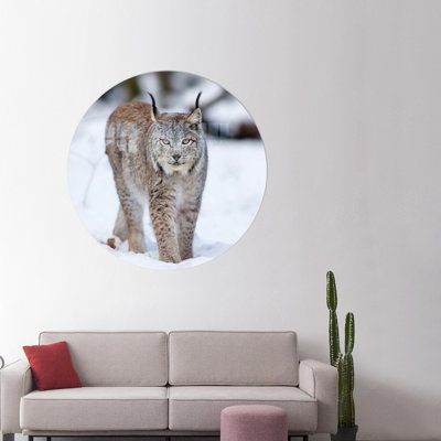 Contemporary Lynx Wolf Cat Wall Decor Art on Tempered Glass Ideal for Home Decoration and Perfect as a Bridesmaid Gift