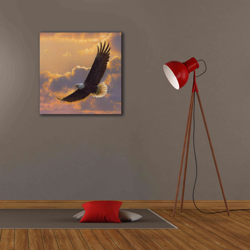 «Soaring Spirit» par Collin Bogle, art mural sur toile, H 26 po x l 26 po x P 1,5 po