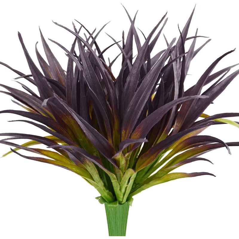 16,9 plante, Mauve