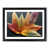 Black Framed selected