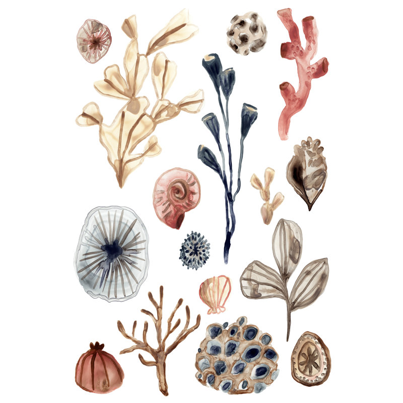 Ocean Assortment I by June Erica Vess - Wrapped Canvas Painting, 46cm H x 30cm W
