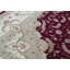 Oriental Area Rug
