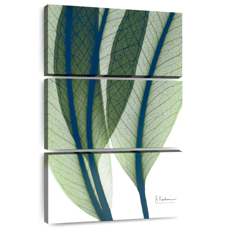 Harnek Vibrant Botanicals I, H 32 po x l 20 po