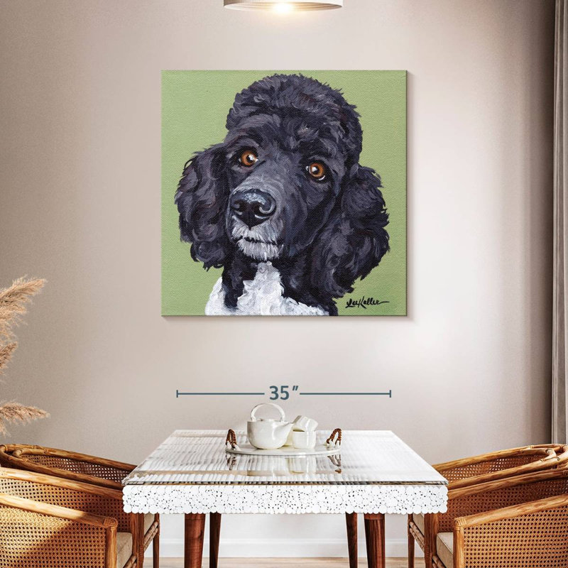 Caniche Brampt standard Tommy, H 39 po x l 39 po