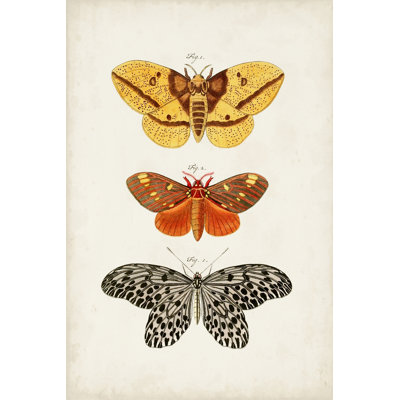 Papillons rétro IV
