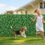 Mur de plantes artificielles, chaque panneau 2 x 8 pi, panneaux de buis artificiels, clôture de haie d'intimité en toile de fond de protection solaire, écran de gazon artificiel pour le mariage, jardin intérieur, extérieur, cour arrière