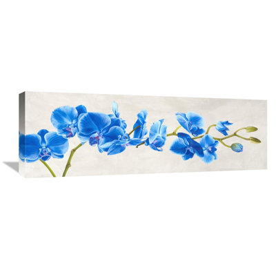 " Blue Orchid " by Shin Mills